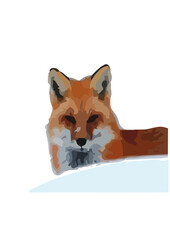 Foxes are small to medium-sized mammals belonging to the Canidae family, which also includes dogs, wolves, and coyotes. They are characterized by their elongated snouts, upright ears, and bushy tails.