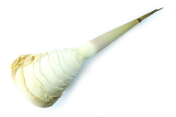 Fresh bamboo shoot with no skin isolated on white background stack top view flat lay.