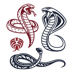 Fototapeta premium snake vector illustration