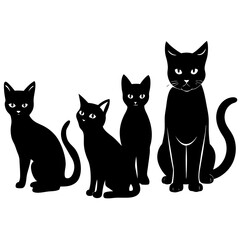 black and white cats