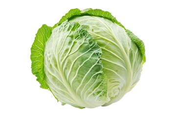Fototapeta premium Whole green savoy cabbage with textured crinkled leaves isolated on transparent background. Concept of fresh organic vegetables and healthy eating
