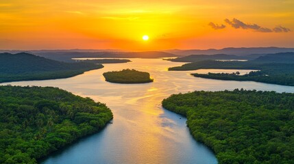 A peaceful river meandering through a dense, green forest as seen from above