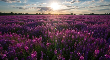 Sunset's Purple Embrace AI Generated