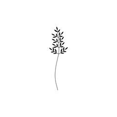 silhouette of a leaf