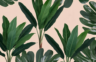 Aesthetic Green Leaves of Monstera and Other Tropical Plants