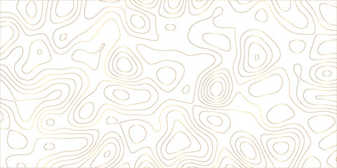 Stylized abstract map with contour lines forming a smooth, modern elevation surface

