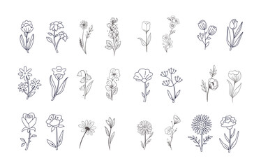 Set branch with leaves ornamental draw