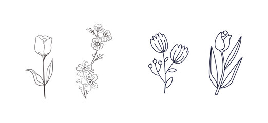 Set branch with leaves ornamental draw