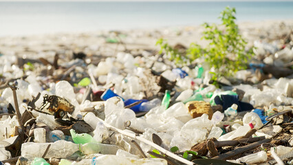 Plastic bottles on a polluted beach with sea in background, ocean pollution