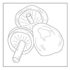 hand drawn doodle art of mashroom 