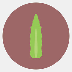 Icon aloe vera. Plant leaves elements. Icon in color mate style.