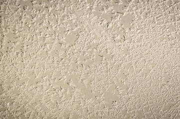 Delicate ice crystals create intricate fern-like patterns, glistening softly on a cold, frosted surface.