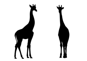 キリンのシルエット