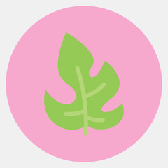 Icon rhaphidophora. Plant leaves elements. Icon in color mate style.