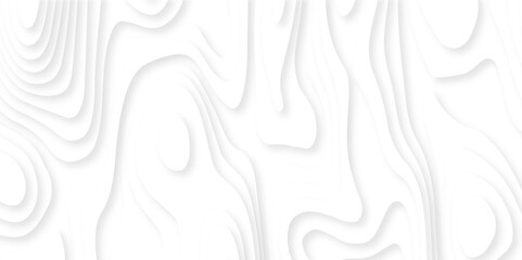 Abstract white paper cut background with lines. Background of the topographic map. White wave paper curved reliefs abstract background. Realistic papercut decoration textured with wavy layers.