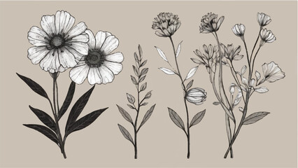 Vector illustration of flowers with a seamless floral pattern and vintage garden design