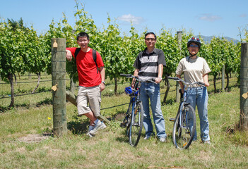 Tourists taking the bike tour of vineyard. Otago. New Zealand.