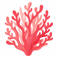 Minimal Coral Vector Illustration on White Background