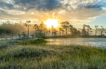 The sun rises over the forest on a cold autumn morning