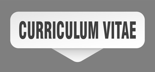curriculum vitae sticker. curriculum vitae sign isolated on gray background