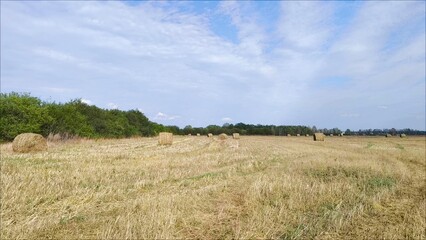 Obraz premium Straw Stacked On Field During Sunny Day. Closeup hay bales in the field During Sunny Day