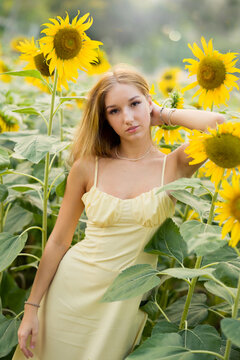 Cute european young model girl posing and having fun in a field full of blooming sun flowers. Showing freedom, innocence and youth