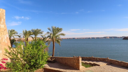 palm trees on the beach