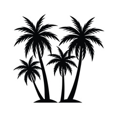 silhouette of palm tree