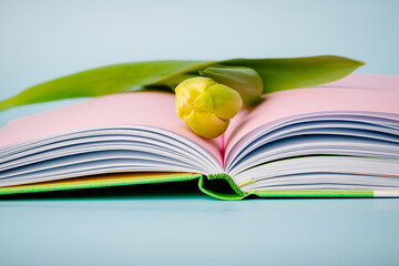 A single yellow tulip lies on an open book