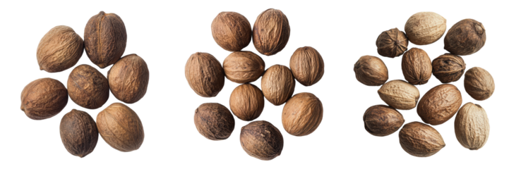 Triptych of textured earthy seed pods.