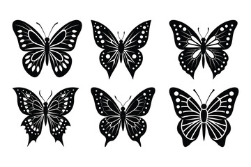 A colorful set of vector butterfly, a beautiful insect illustration for spring design.