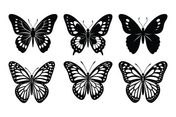 A colorful set of vector butterfly, a beautiful insect illustration for spring design.