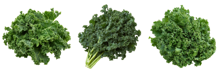 Three Bunches of Vibrant Green Kale.