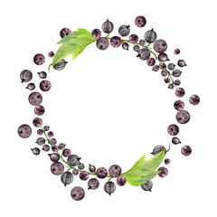 Currant gooseberry with leaves cluster bunch on stem, ripe garden berry casseille juneberry jostaberry, watercolor hand drawn. Isolated wreath frame crown. Cookbook, grocery store, gardening guides