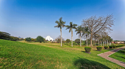 landscape with green grass and blue sky