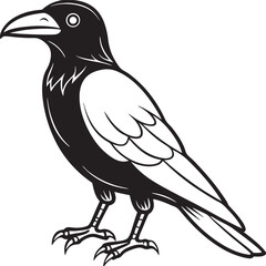 Fototapeta premium crow on a white background