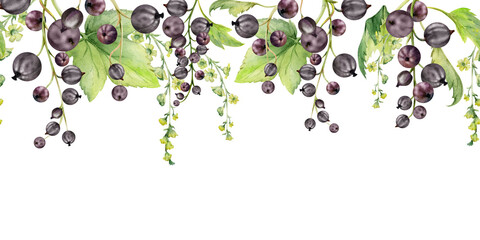 Currant gooseberry with leaves, long flower clusters on branch, hand drawn in watercolor, ripe garden berry juneberry casseille jostaberry. Isolated seamless banner border. Cafe menu, farmers market