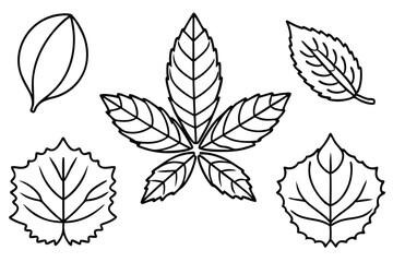 Chestnut Leaf Line Art Creative Design for Detailed Illustration Artwork 