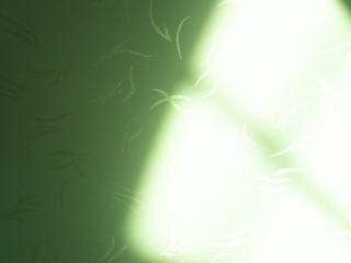 Background green abstract line shadow overlay on cement wall floor beige mockup product cosmetic summer tropical nature presentation frame template eco backdrop environment