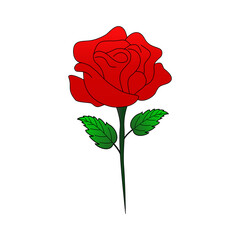 Fototapeta premium red rose vector illustration