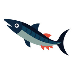 Obraz premium Barracuda