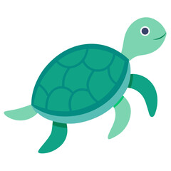 Sea turtle