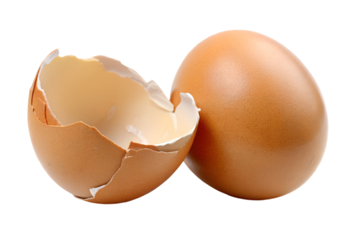 a broken egg shell clipart image on transparent background