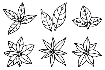Clove Leaf Line Art Creative Illustration for Detailed Artwork Design