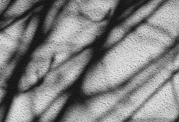Branches create intricate shadows on a textured wall as afternoon sunlight streams
