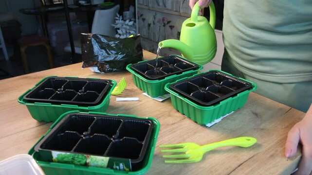переведи: Женщина поливает из лейки семена, посаженные в ячейки  пластикового контейнера. Мини теплицы для выращивания рассады.