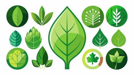 Leaf icons set ecology nature element, green leafs, environment and nature eco sign. Leaves on white background – vector