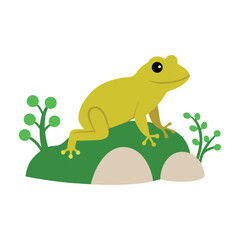  A frog resting on a rock with plants
