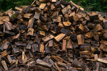 Wooden natural cut logs different sizes stored for fuel in countryside. Textured background.