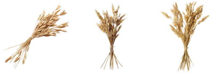 Triptych of tied golden wheat.